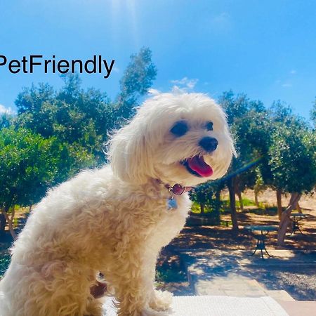 Bungalow Sequero #Pet Friendly Tuineje Ngoại thất bức ảnh
