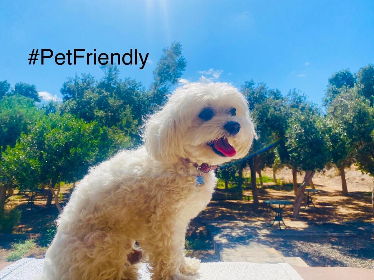Bungalow Sequero #Pet Friendly Tuineje Ngoại thất bức ảnh